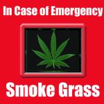 incasesmokegrass.jpg - 